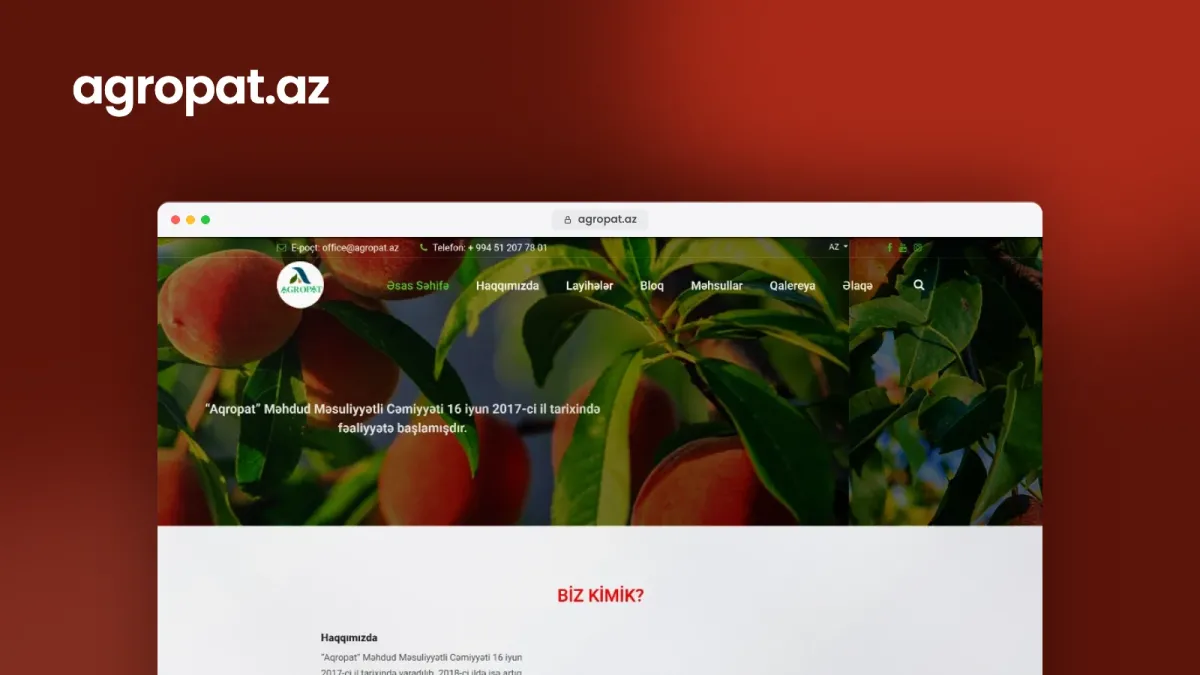 Agropat şirkəti üçün veb sayt – 3