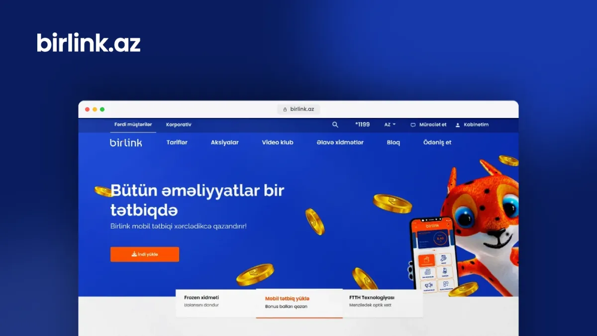 Birlink internet provayderi üçün veb sayt – 3