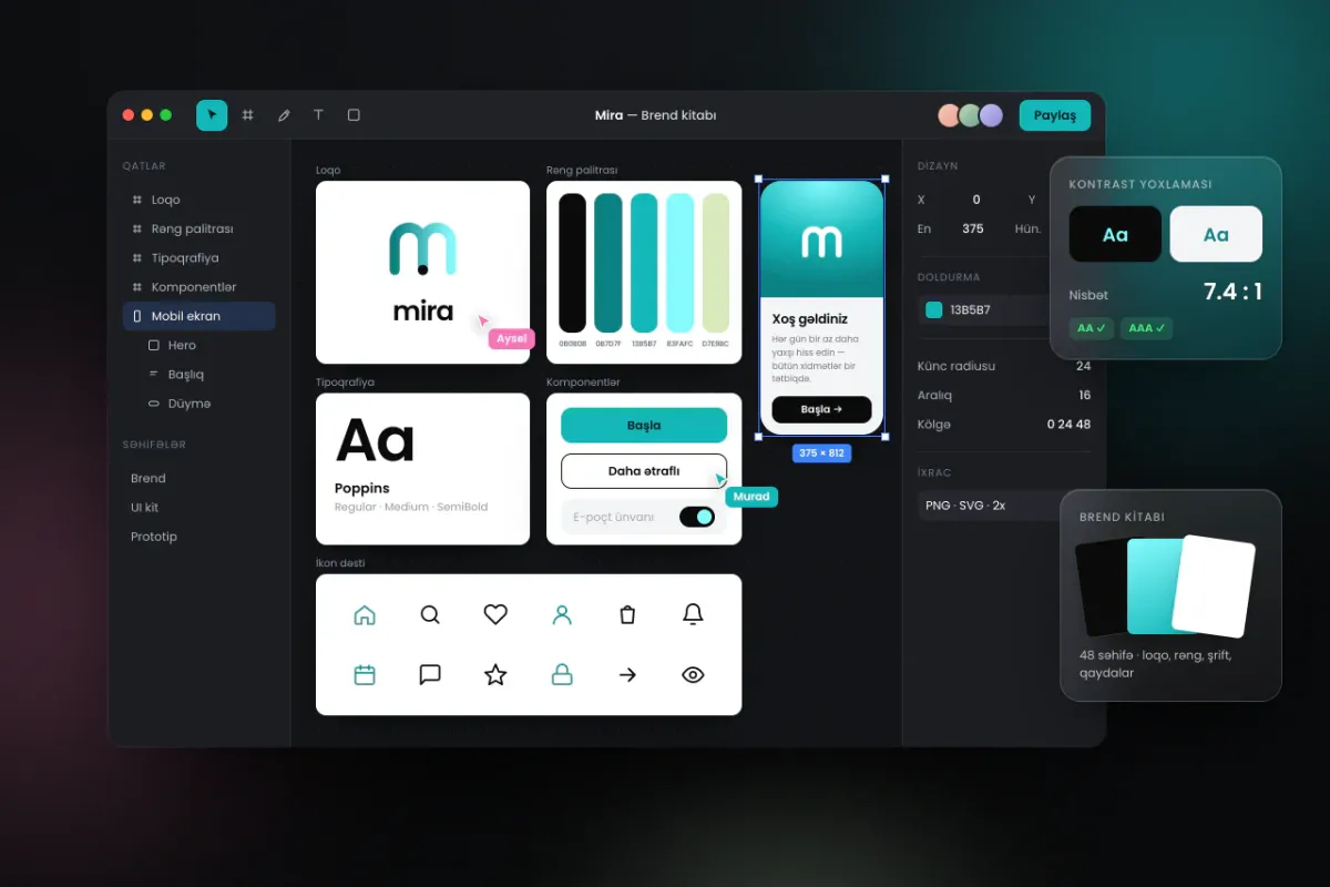 UI/UX Dizayn və Brendinq Xidmətləri — NS Studio