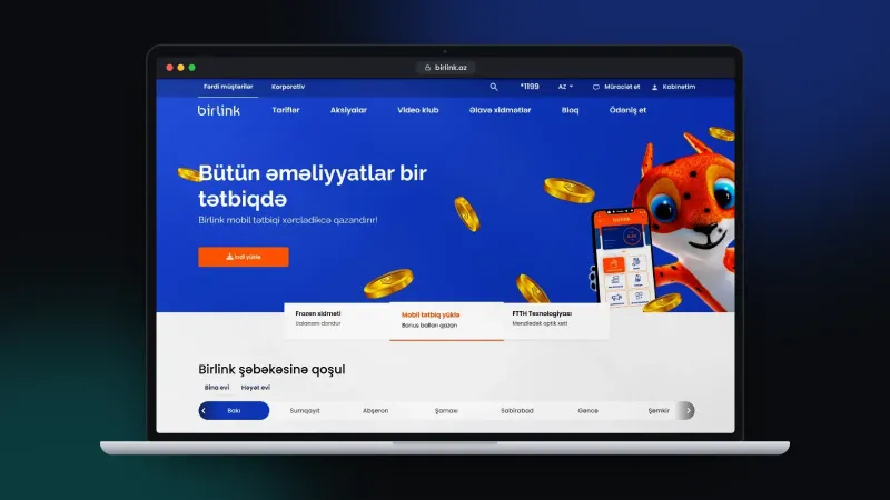 Birlink internet provayderi üçün veb sayt – 1
